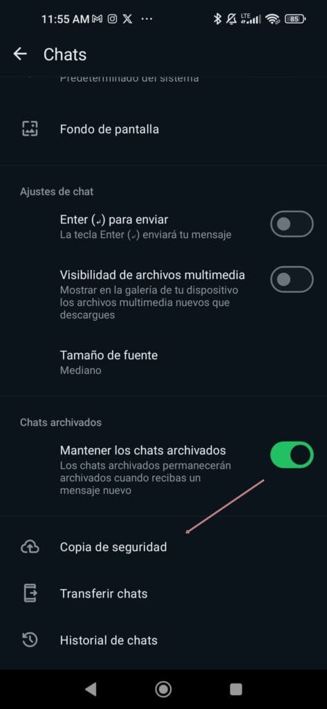 Opción de Chats de Whatsapp